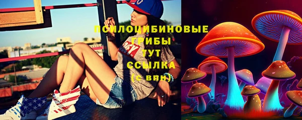 мяу мяу мука Алексеевка