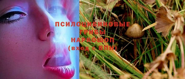 мяу мяу мука Алексеевка
