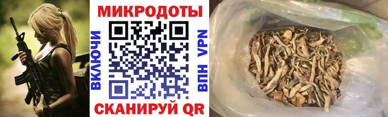 Псилоцибиновые грибы Magic Shrooms  купить наркотик  Слободской 